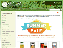 Tablet Screenshot of gincointernational.com